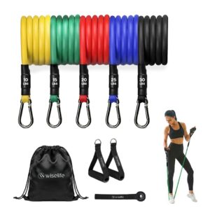 Wiselife Multi-Level Resistance Tube Band Set with Sturdy Foam Handles, Door Anchors, Ankle Strap & Carrying Bag for Exercise, Stretching, Home Gym & Strength | Full Body Workout Upto 150 lbs